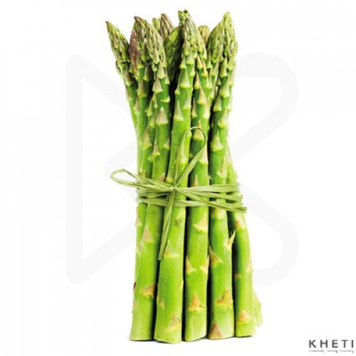 Kurilo, Asparagus (Premium) 