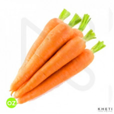 Carrot  