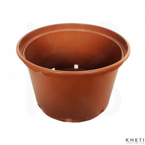 Low gallon pot brown (15 inches)