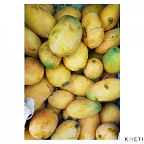 Mallika Mango Mallika Mango