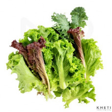 Mix Lettuce Organic