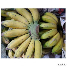Banana (Nepali Malbhog) 