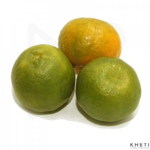 Orange (Indian) Orange (Indian)