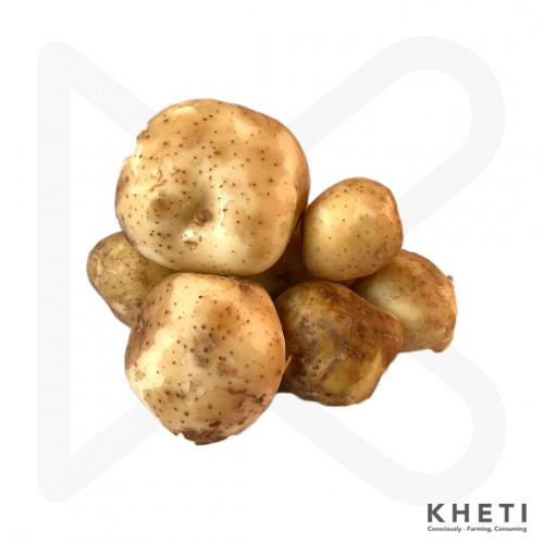 Potato White- Local Potato White- Local