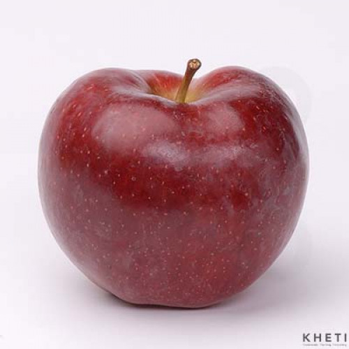 Apple (jhole), Syau Apple (jhole), Syau
