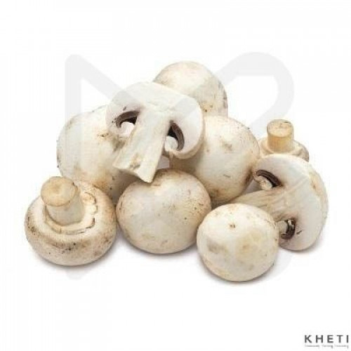 Mushroom (Button) ( dalle chyau)