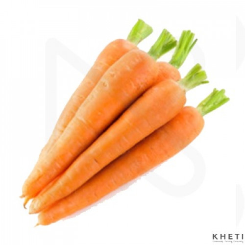 Gajar (Carrot)