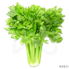 Celery  