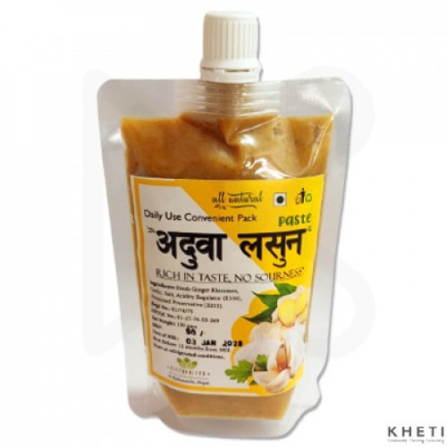 Ginger Garlic Paste Ginger Garlic Paste