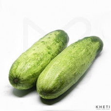 Cucumber hybrid (Kakro)