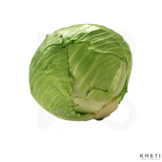 Cabbage (Banda) 