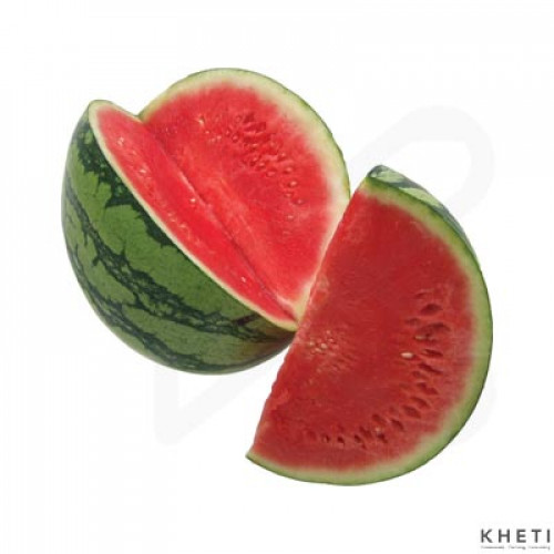 Watermelon, Tarbuja Watermelon, Tarbuja
