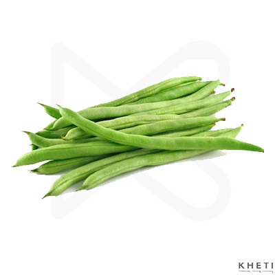 Ghiu Simi - Butter Bean