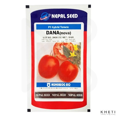 Tomato Seed Dana (Nova)
