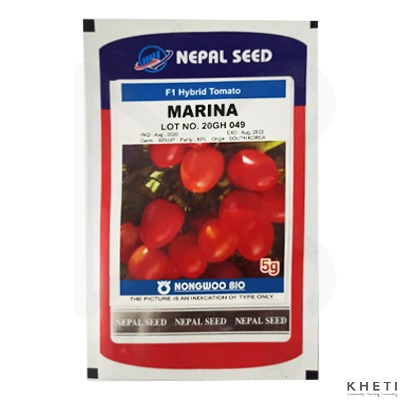 Tomato Seed_Marina