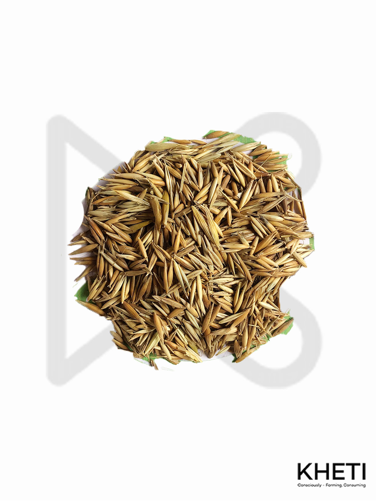 forage oat seed (जै घाँस )