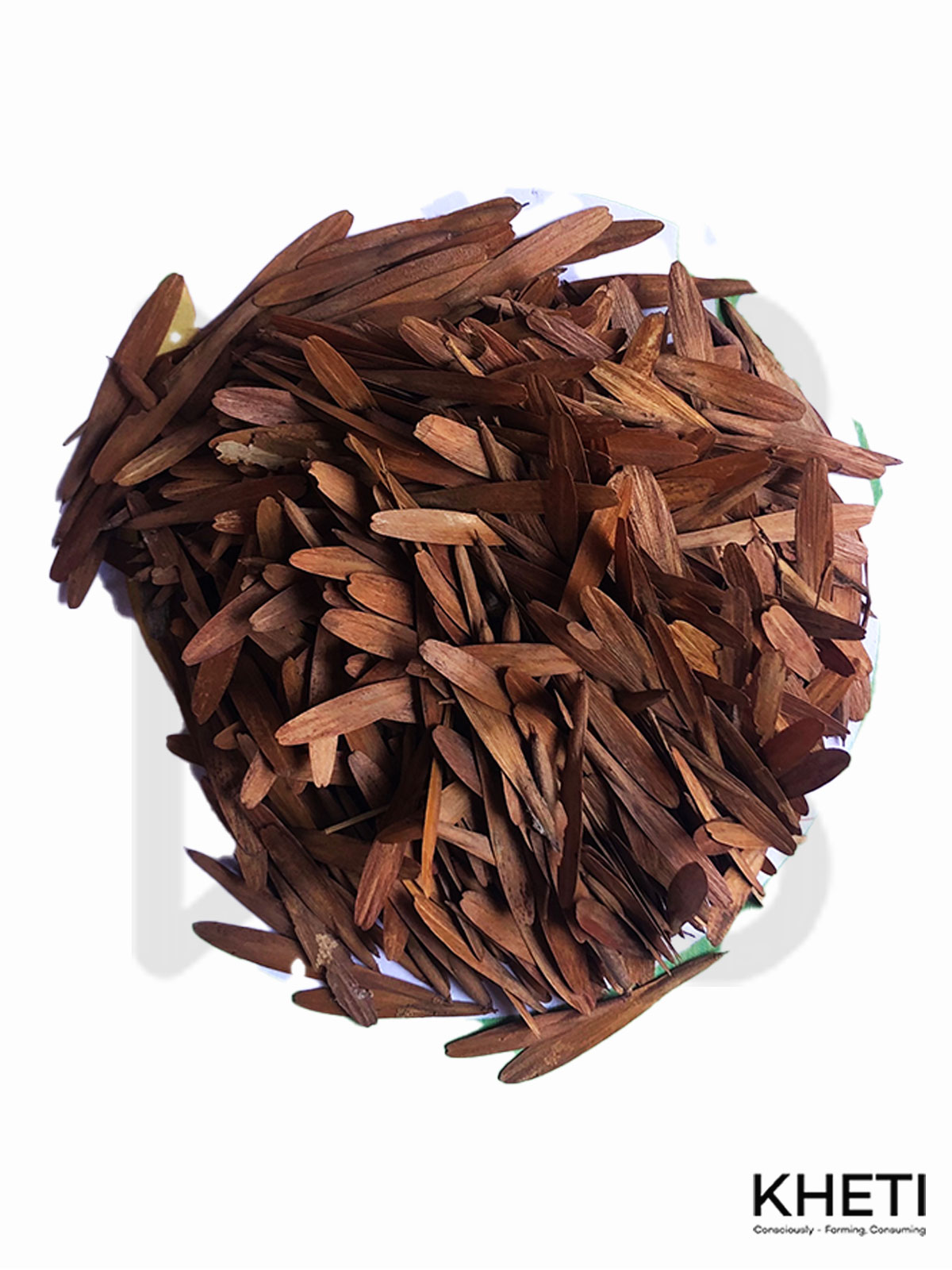 Himalayan ash seed (Lakuri)