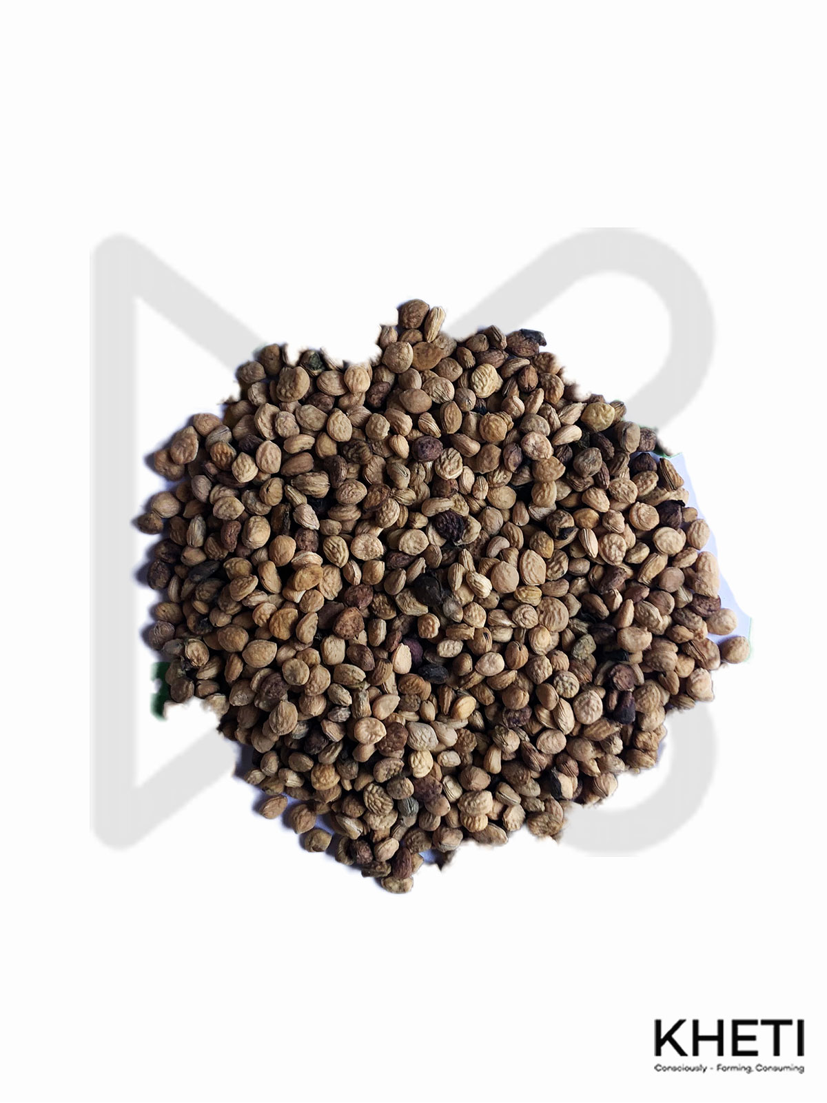 Rauvolfia serpentina ( sarpagandha) seeds