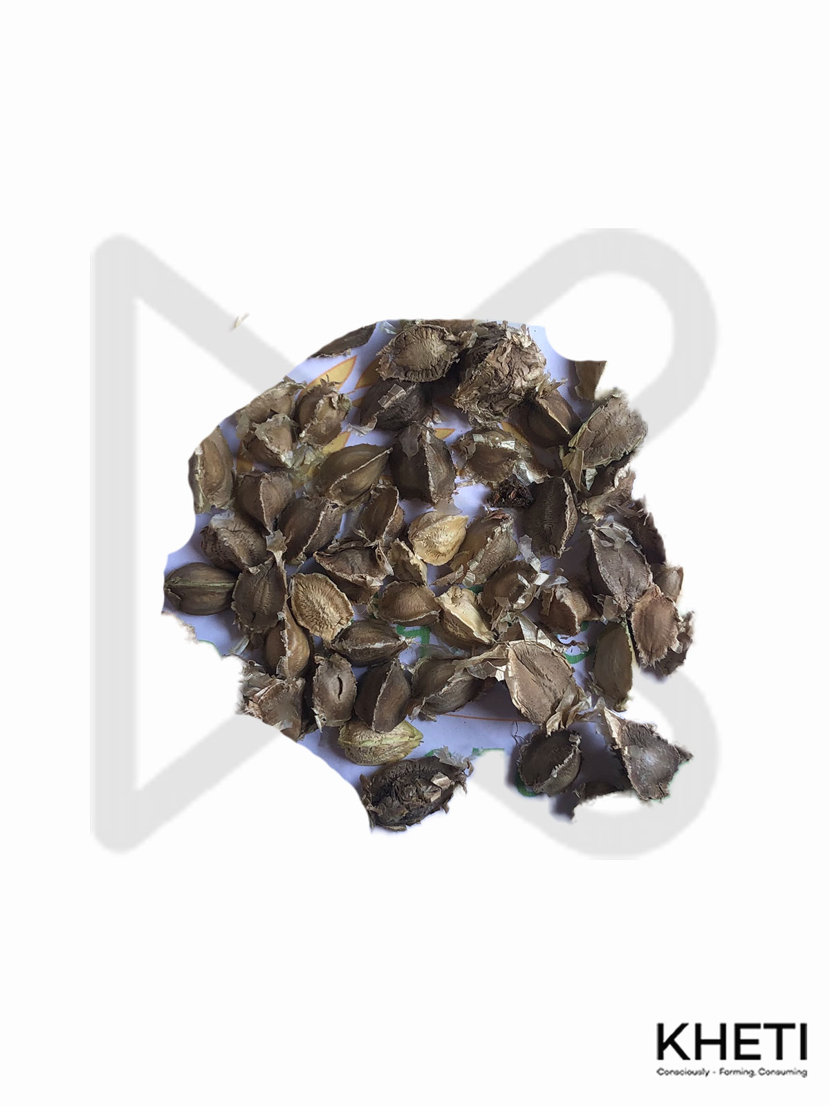 Sitalchini Seed (Moringa)
