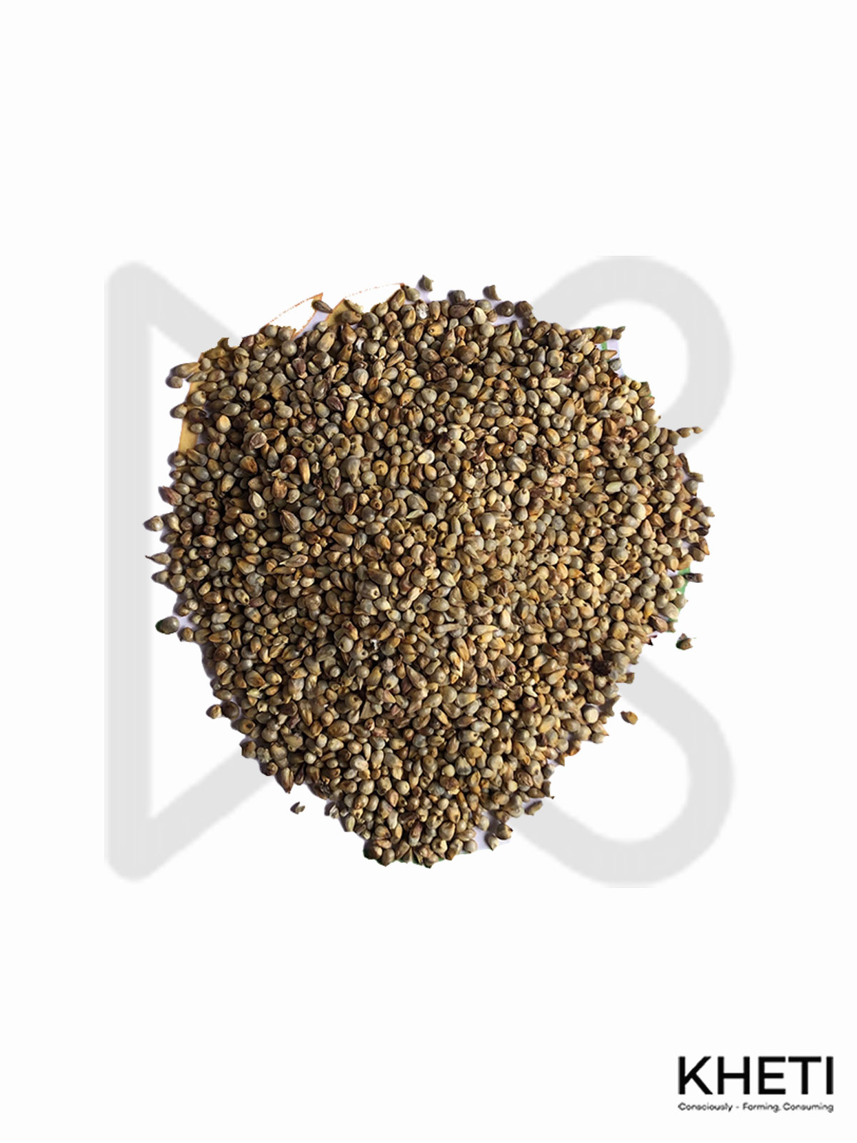 Bajra grass seed 