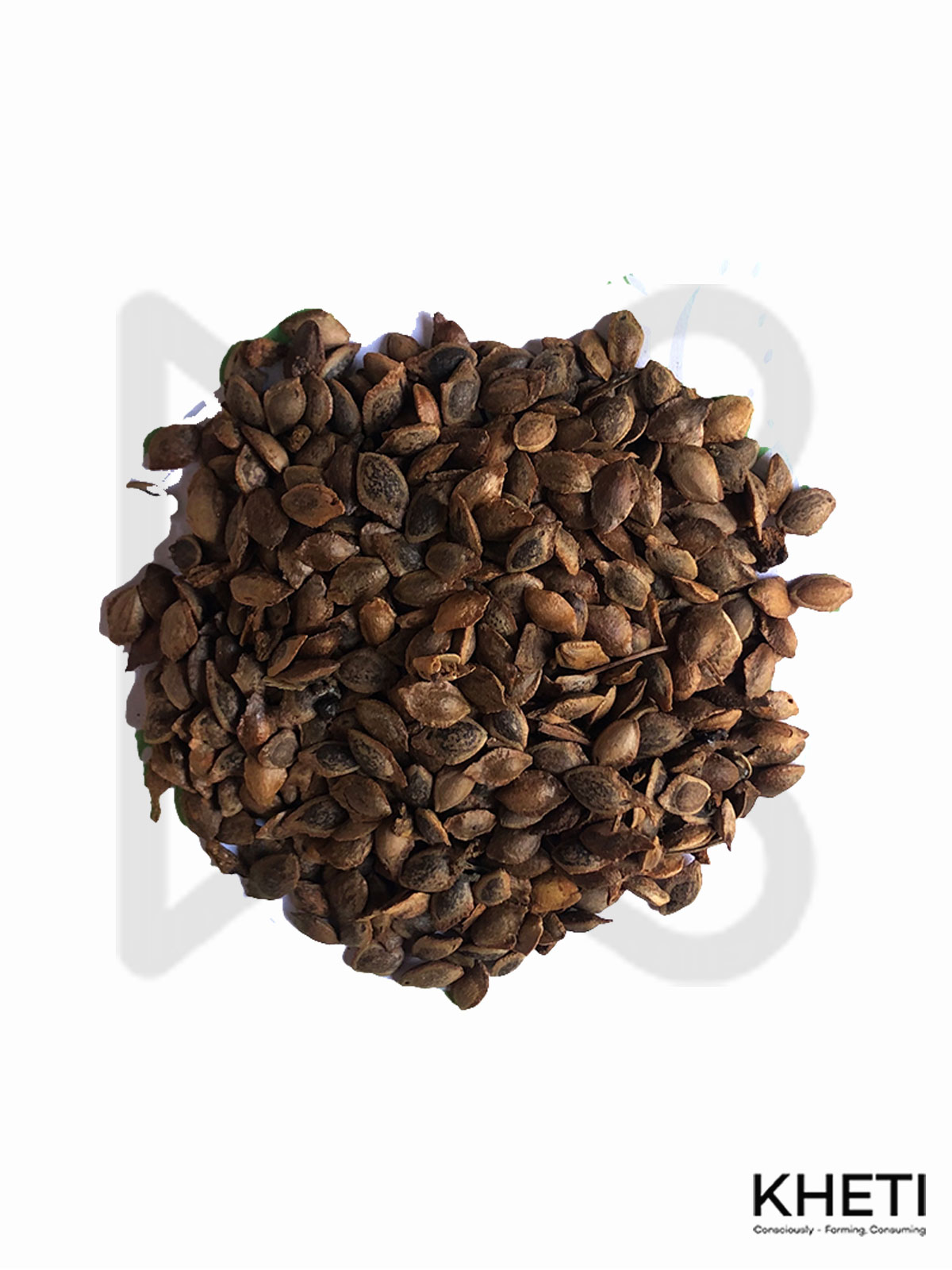 Holy basil ( Tulsi ) seeds