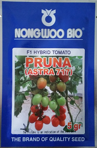 F1 Hybrid Tomato Seed Pruna (Astra 717)