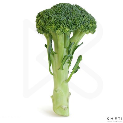 Broccoli
