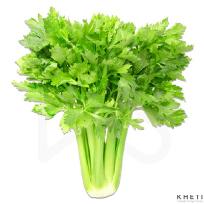 Celery (seleri saag)