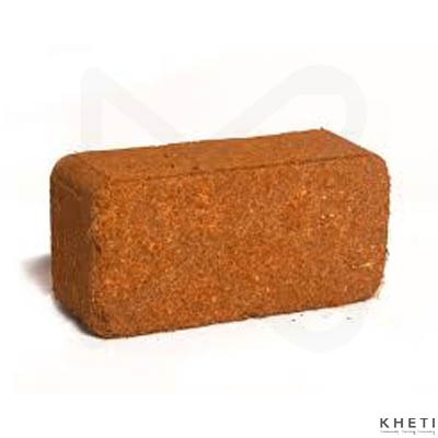 NTS Cocopeat Brick (Appx. 650gm)