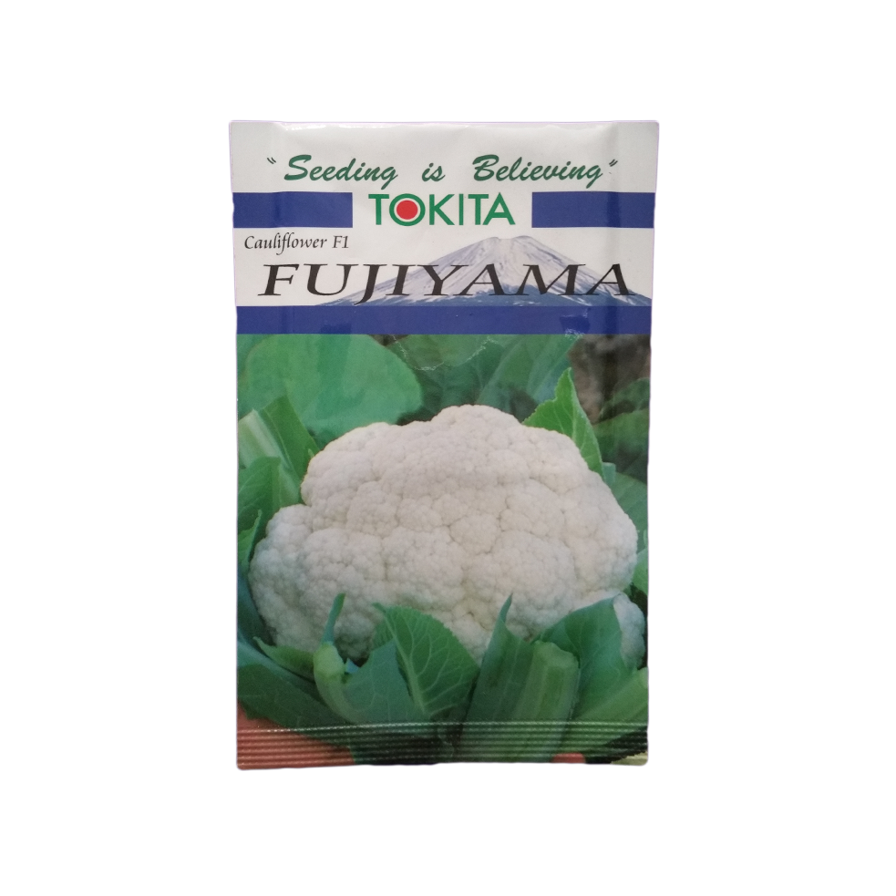 Cauliflower_Fujiyama (Fulkopi Ko Biu)