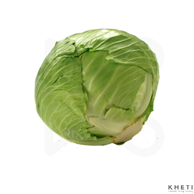 Cabbage (Banda)