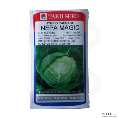 Cabbage_NepaMagic (Bandakopi Ko Biu)