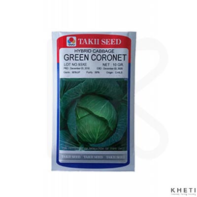 Cabbage_GreenCoronet Seed (Bandakopi Ko Biu)