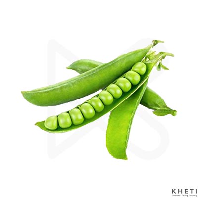 Green peas (Matar kosha)