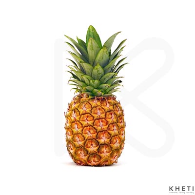 Pineapple, Bhui katahar