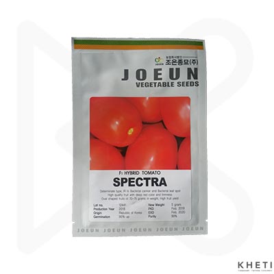 F1 Hybrid Tomato Seed Spectra 