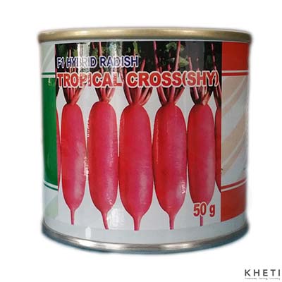 F1 Hybrid Radish_Tropical Cross Red/ Shy_SN