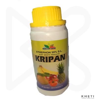 Kripan