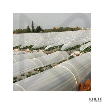 NTS low tunnel plastic (6 ft X 500 m , 25 micron)